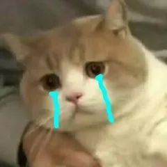 紧急提醒最重要的消息,紧急提醒所有人需要注意什么