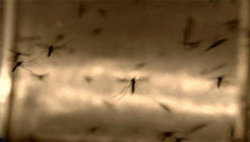 一小瓶止痒的药膏,一小瓶药水止痒叫什么