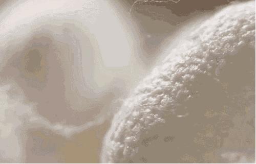 央视曝光蚕丝被长期盖,长期盖蚕丝被的危害图片