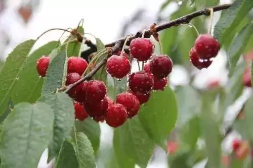 周末去玩安静舒适的地方,周末愉快最新好玩的地方