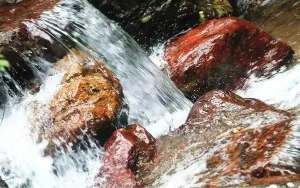 攻略|免费玩！水球大战、玻璃滑道、溜索、汉服穿越……桂林红溪森林瀑布满足你N个夏日期待