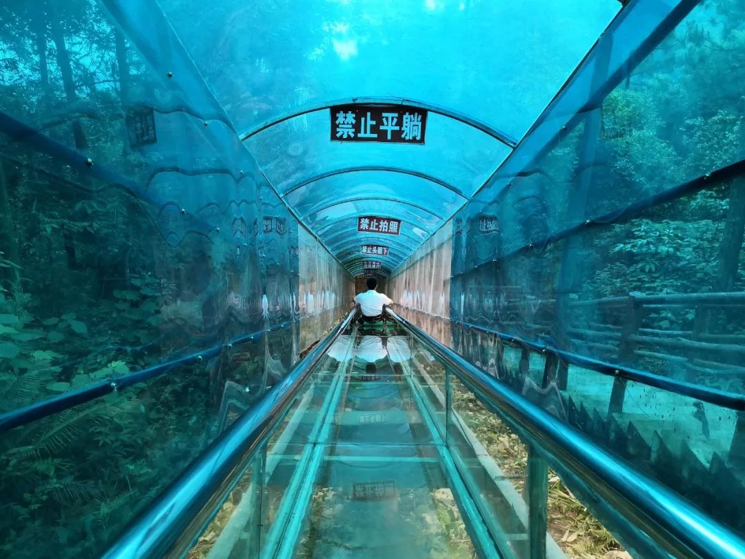 攻略|免费玩！水球大战、玻璃滑道、溜索、汉服穿越……桂林红溪森林瀑布满足你N个夏日期待