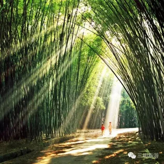 最氧三明风景图片,绿都三明风景图片