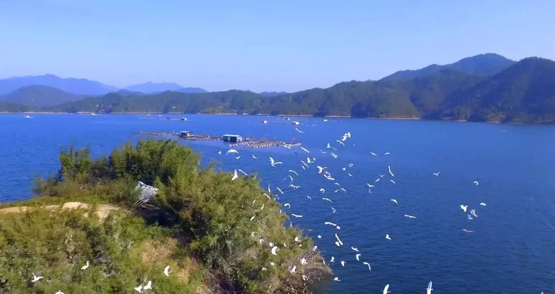 最氧三明风景图片,绿都三明风景图片