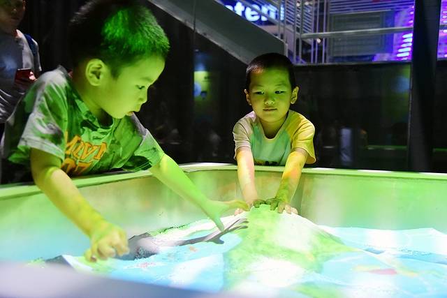 厦门带娃游玩景点推荐最新,厦门带娃必去景点攻略推荐