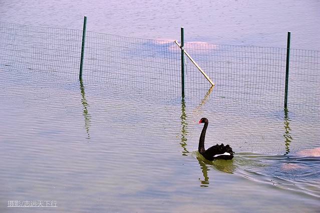厦门带娃游玩景点推荐最新,厦门带娃必去景点攻略推荐