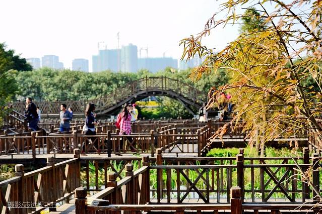 厦门带娃游玩景点推荐最新,厦门带娃必去景点攻略推荐