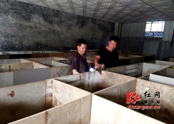 新田县三塘源生态养殖有限公司,新田县现代农业