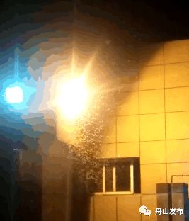 白蚁飞进屋子里怎么处理,白蚁飞进家里多久会繁殖