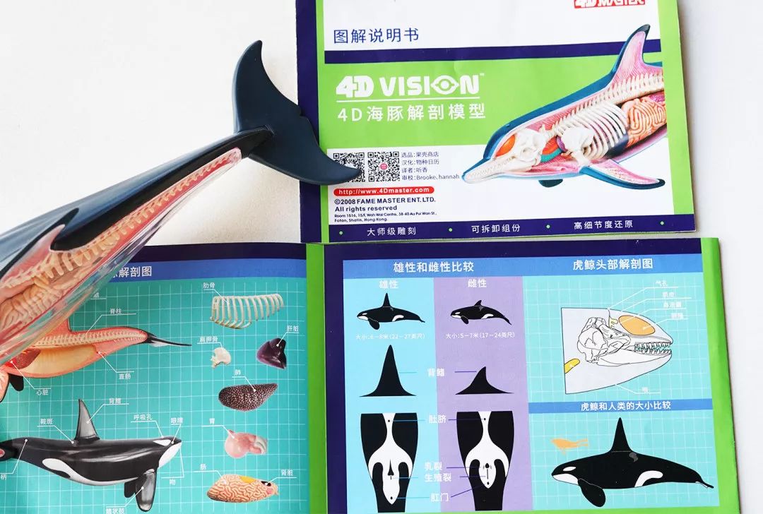 我就不信,只有我一个人想试试人体解剖丨好物推荐