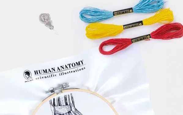 我就不信,只有我一个人想试试人体解剖丨好物推荐