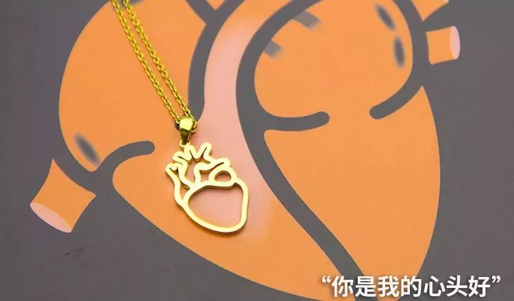 我就不信，只有我一个人想试试人体解剖丨好物推荐