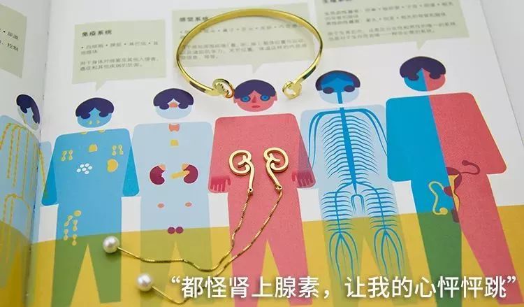 我就不信，只有我一个人想试试人体解剖丨好物推荐