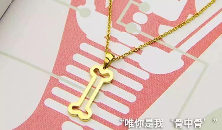 我就不信，只有我一个人想试试人体解剖丨好物推荐