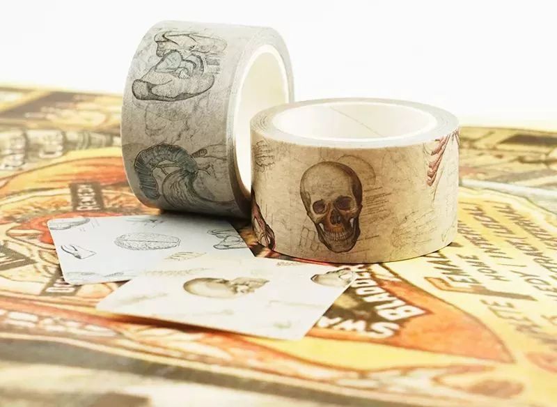 我就不信,只有我一个人想试试人体解剖丨好物推荐