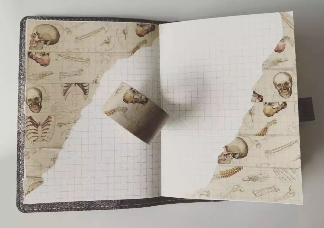 我就不信,只有我一个人想试试人体解剖丨好物推荐