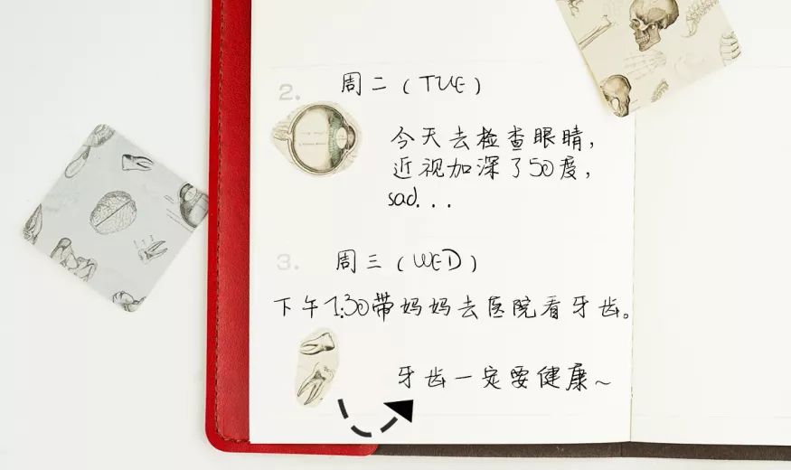 我就不信,只有我一个人想试试人体解剖丨好物推荐