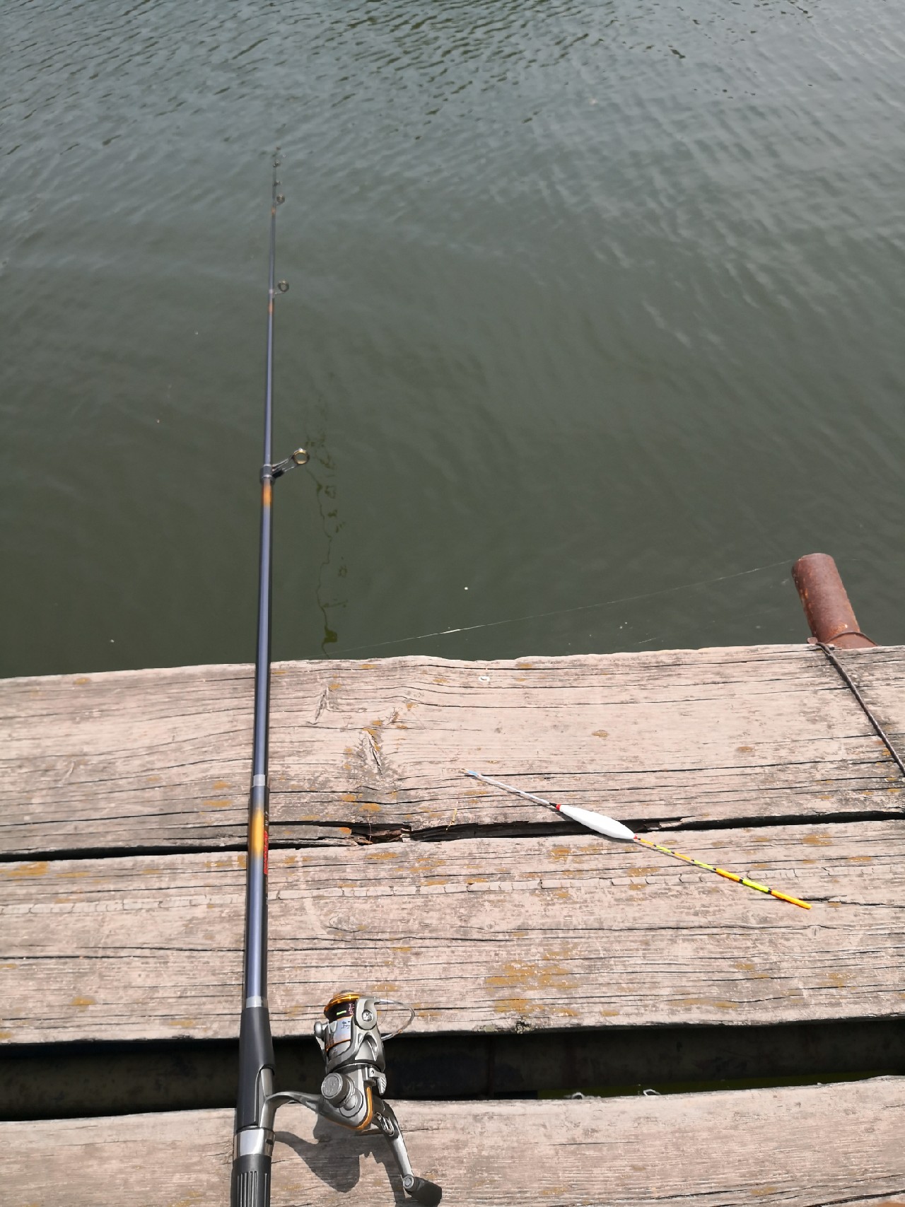 天盛湖垂钓鲢鳙,天盛垂钓园钓鱼