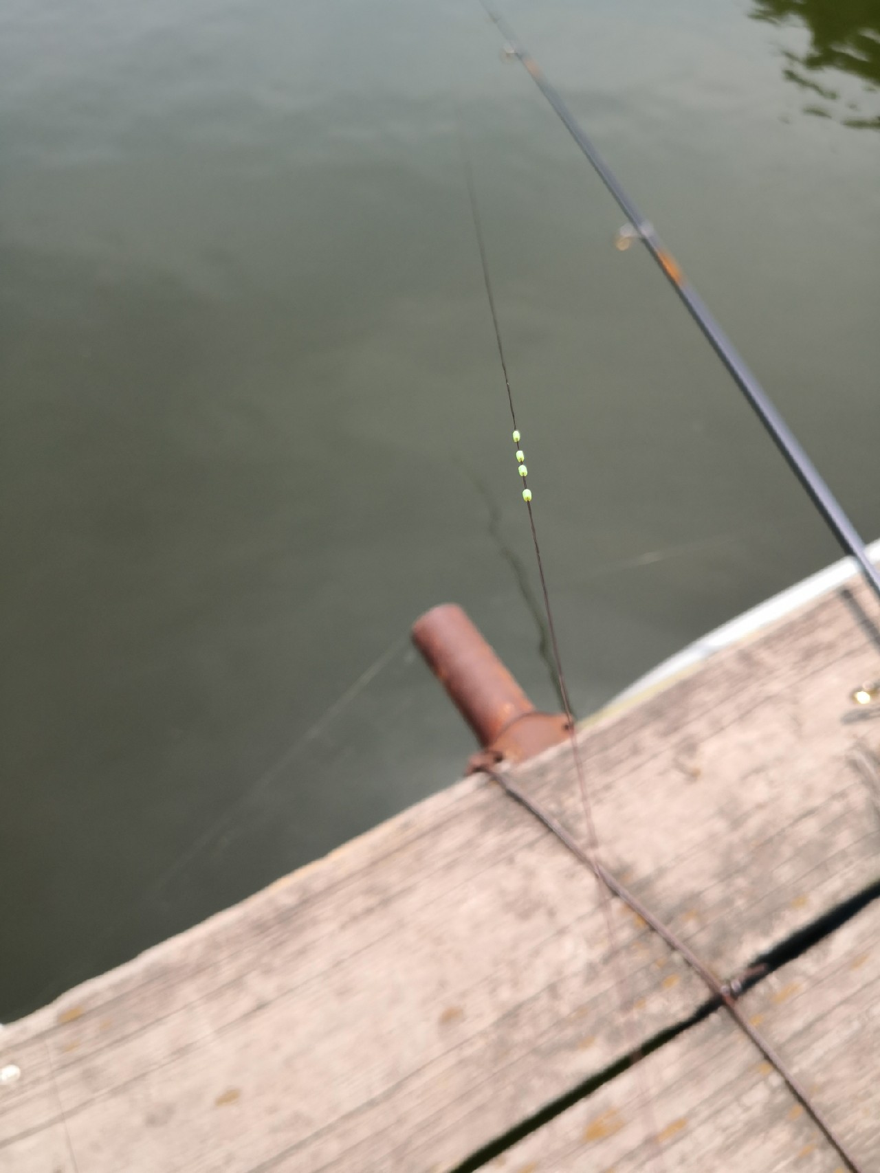 天盛湖垂钓鲢鳙,天盛垂钓园钓鱼