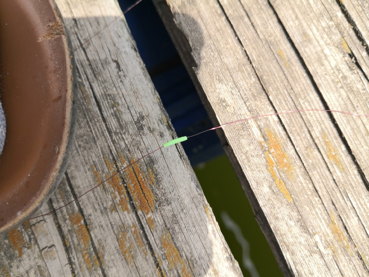 天盛湖垂钓鲢鳙,天盛垂钓园钓鱼