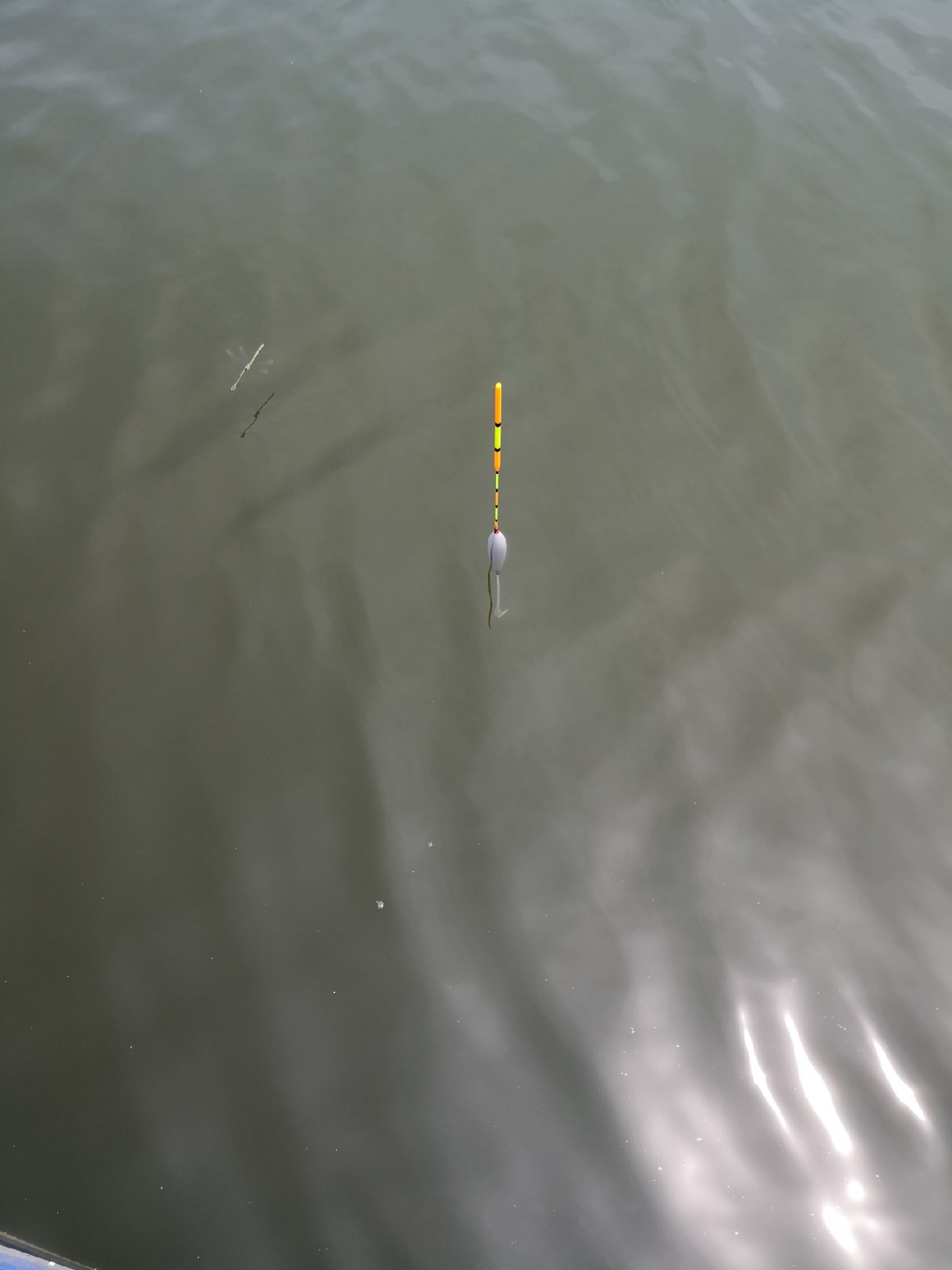 天盛湖垂钓鲢鳙,天盛垂钓园钓鱼