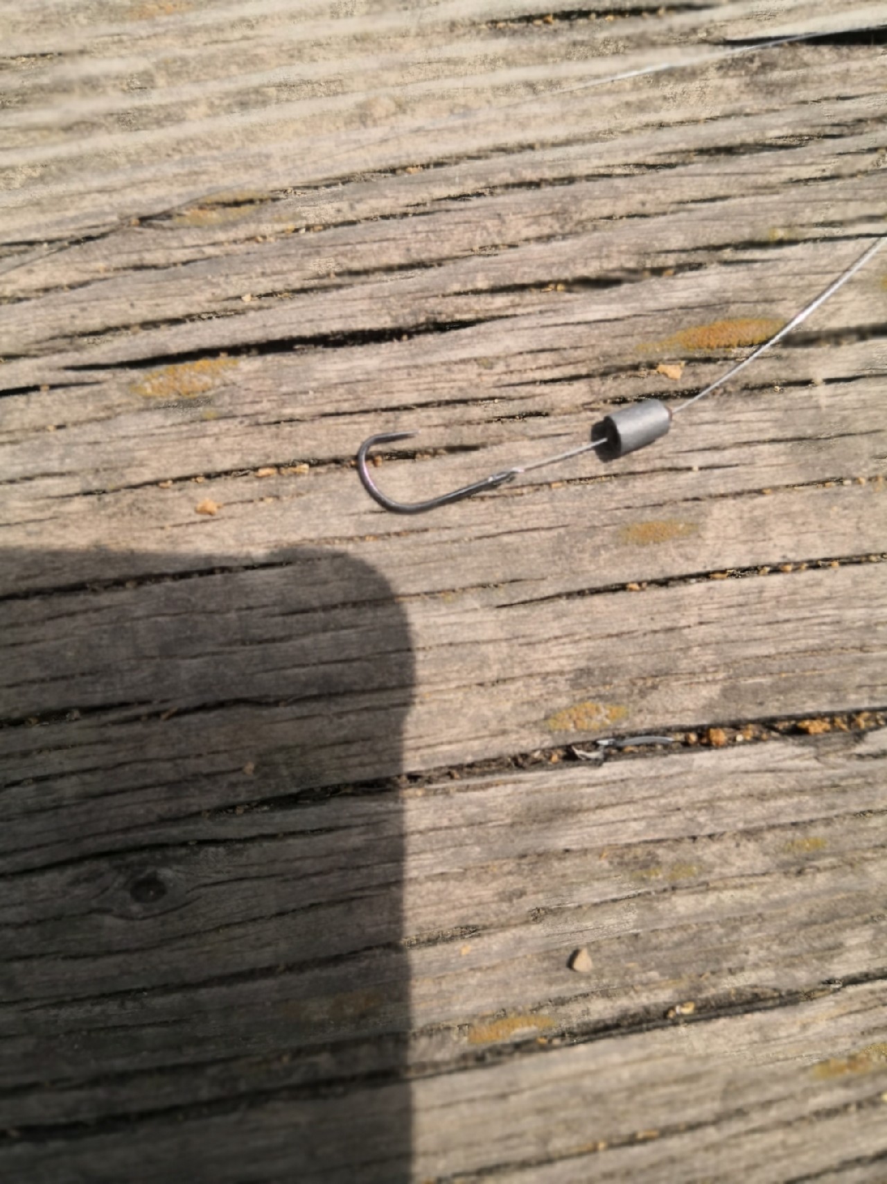 天盛湖垂钓鲢鳙,天盛垂钓园钓鱼