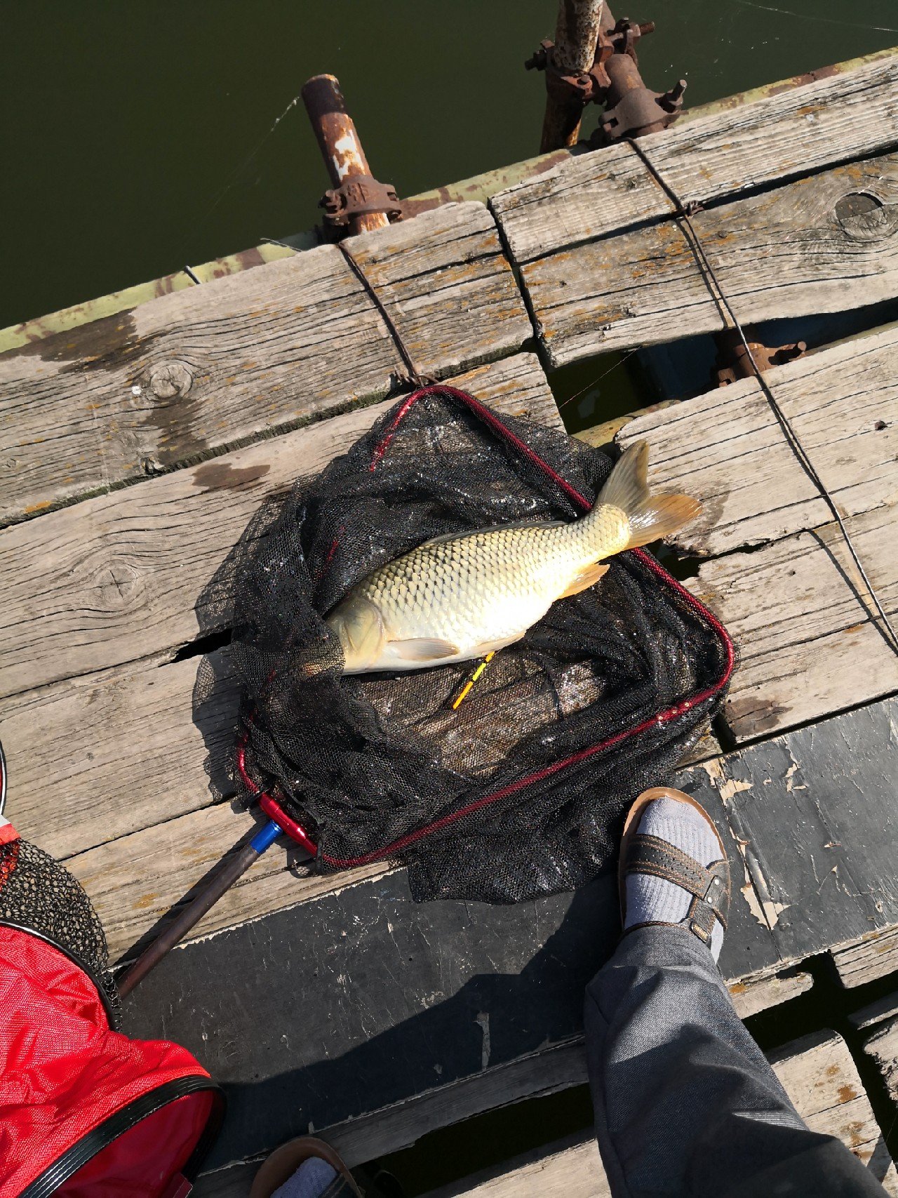 天盛湖垂钓鲢鳙,天盛垂钓园钓鱼