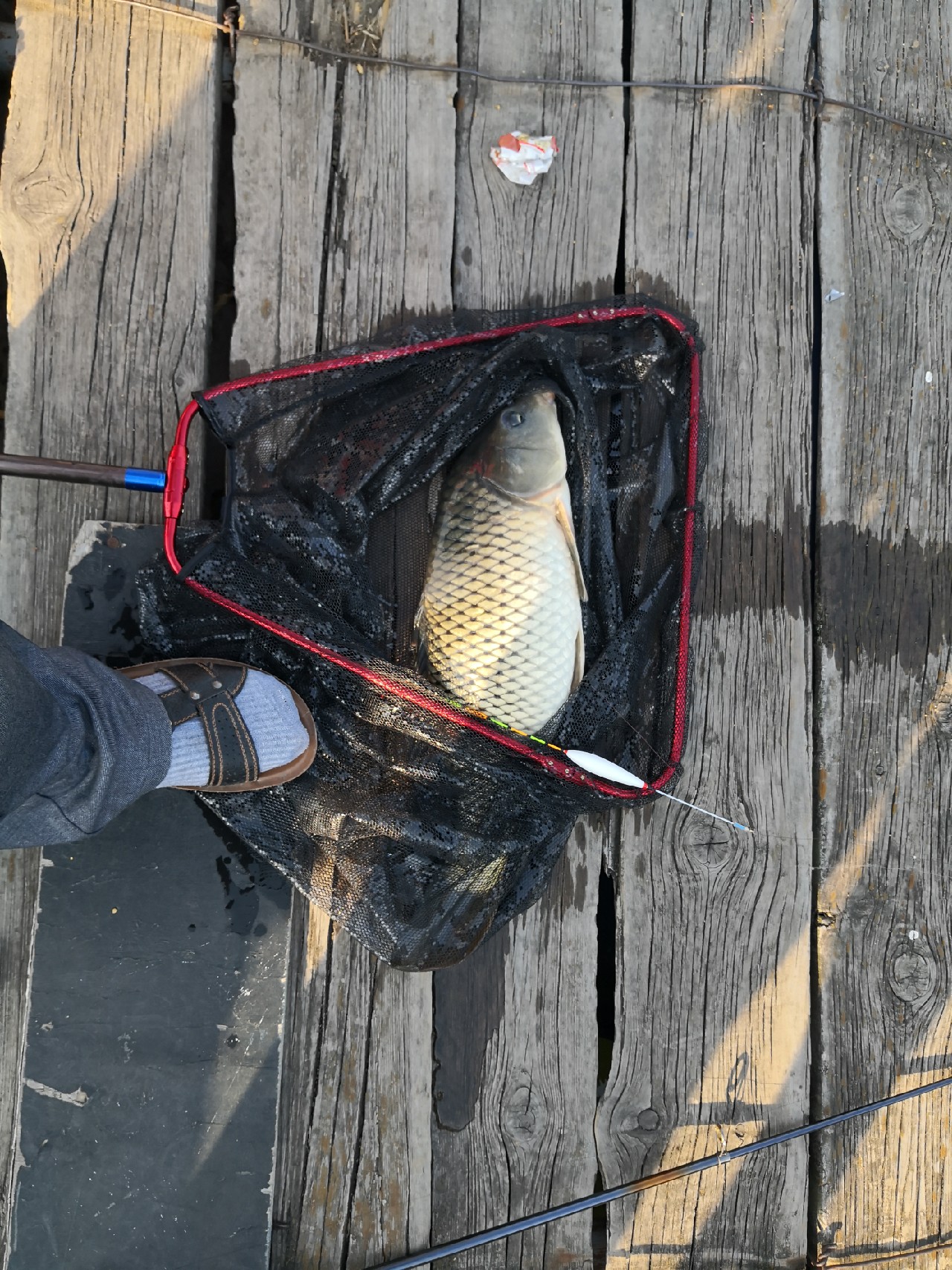 天盛湖垂钓鲢鳙,天盛垂钓园钓鱼