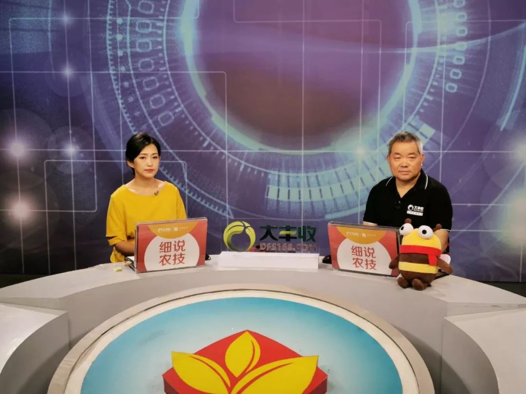 爆仓618，18个数据看大丰收如何领先农资电商行业