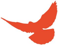 航天科技集团四院：热血奔腾固体人用“心”托举航天梦