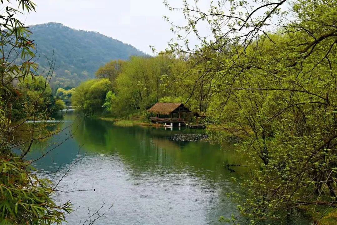 跟随杭州“自然大咖”的步伐，开启西湖秘境之旅！5天4夜，探索鲜为人知的寂静之地