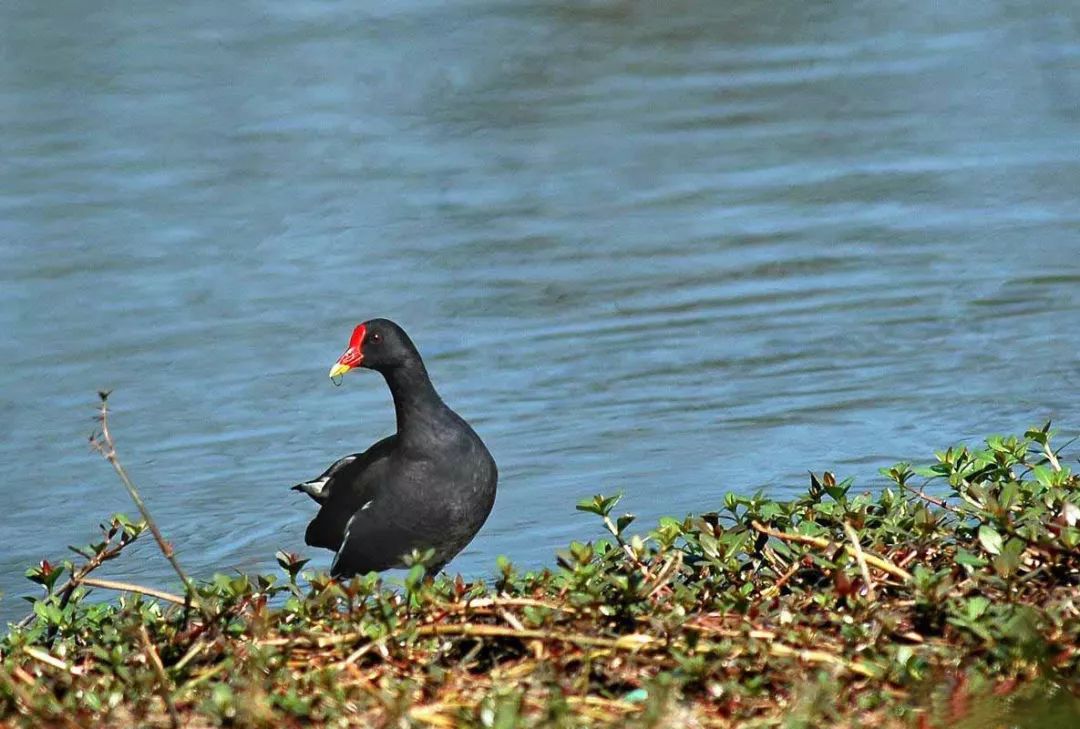 跟随杭州“自然大咖”的步伐，开启西湖秘境之旅！5天4夜，探索鲜为人知的寂静之地