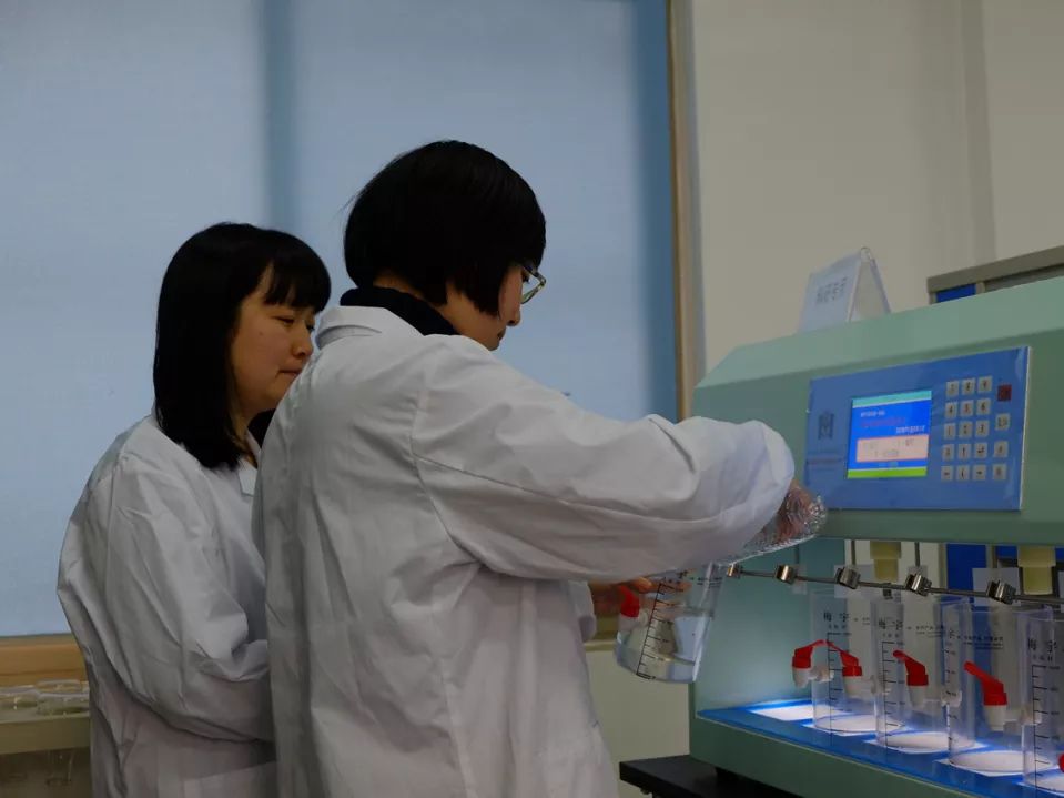 跟随杭州“自然大咖”的步伐,开启西湖秘境之旅!5天4夜,探索鲜为人知的寂静之地