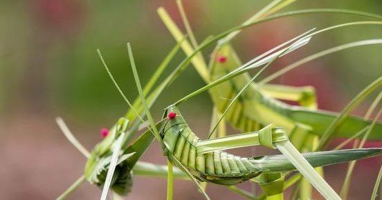 跟随杭州“自然大咖”的步伐,开启西湖秘境之旅!5天4夜,探索鲜为人知的寂静之地