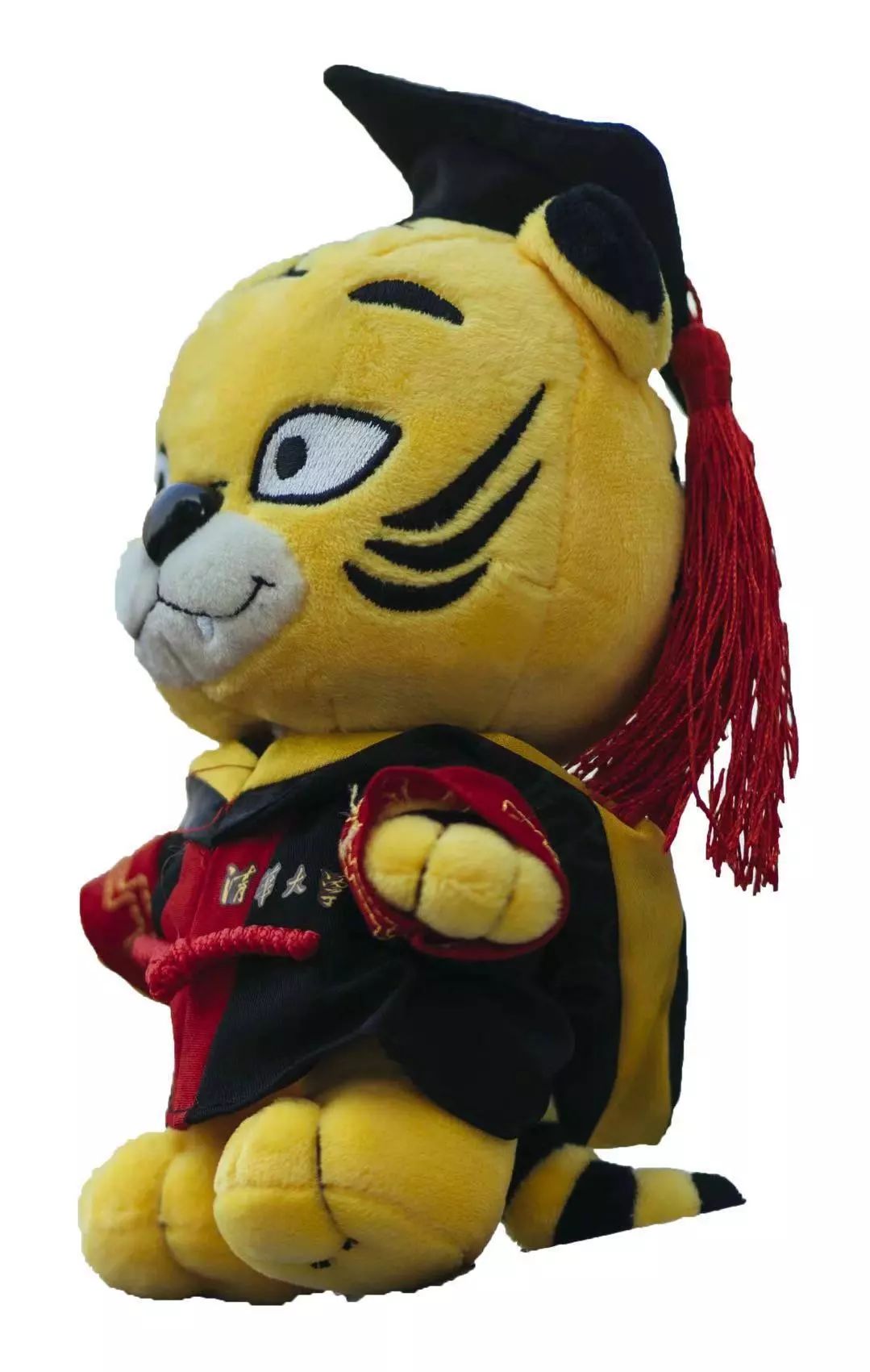 怎样考清华法学院,清华法学学什么