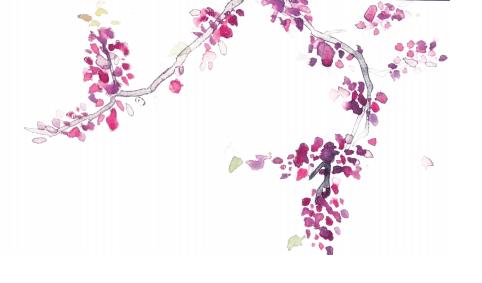 怎样考清华法学院,清华法学学什么