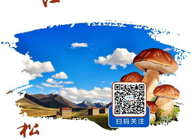 教师节丨十六年如一日,她把喜欢和坚持都花在了这里……