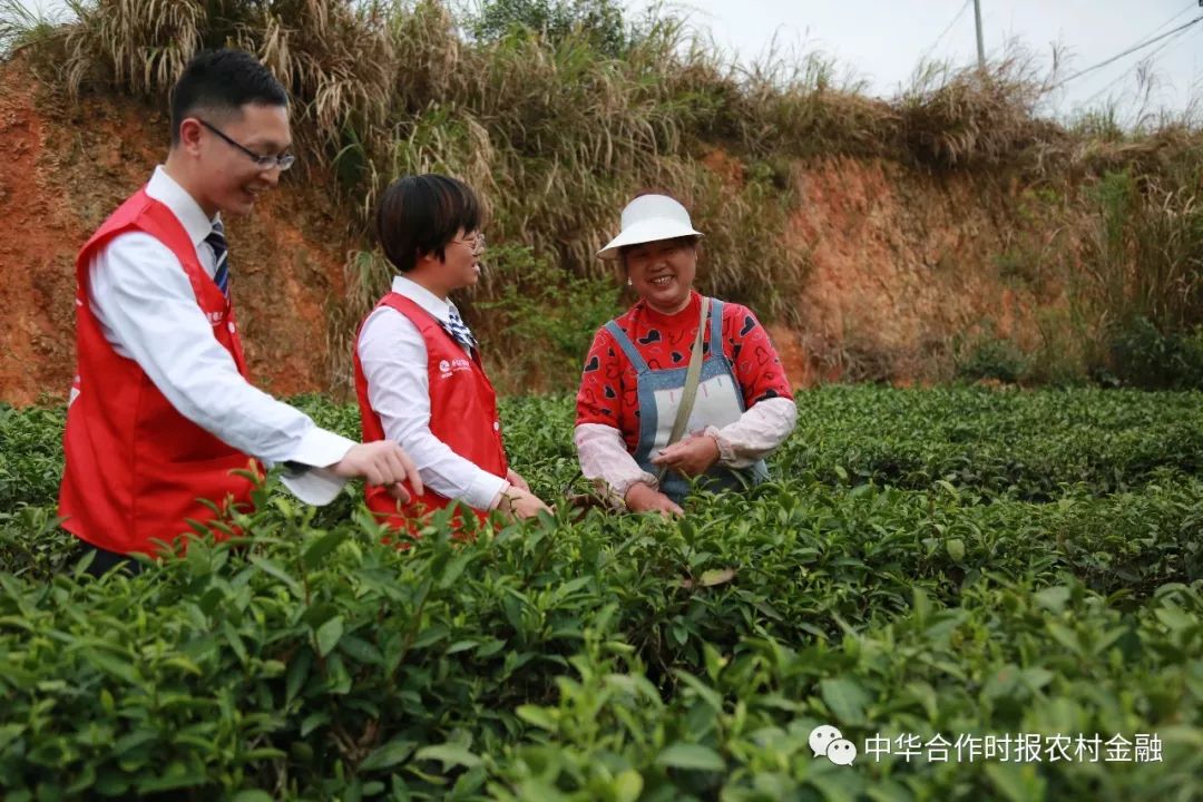 银行抓基层党建工作的思路措施,银行党建引领的基层工作亮点做法