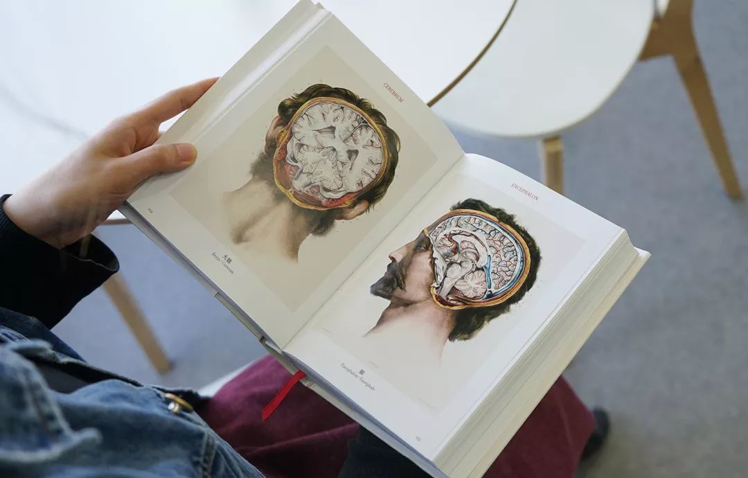 我就不信,只有我一个人想试试人体解剖丨好物推荐