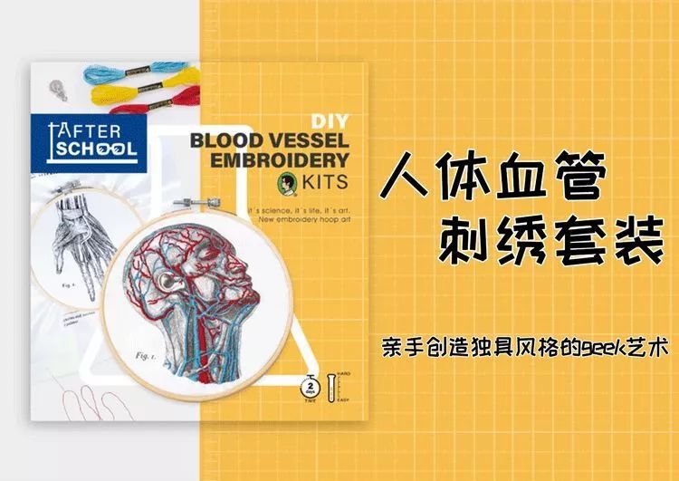 我就不信,只有我一个人想试试人体解剖丨好物推荐