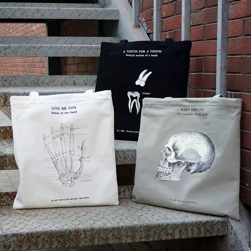 我就不信,只有我一个人想试试人体解剖丨好物推荐