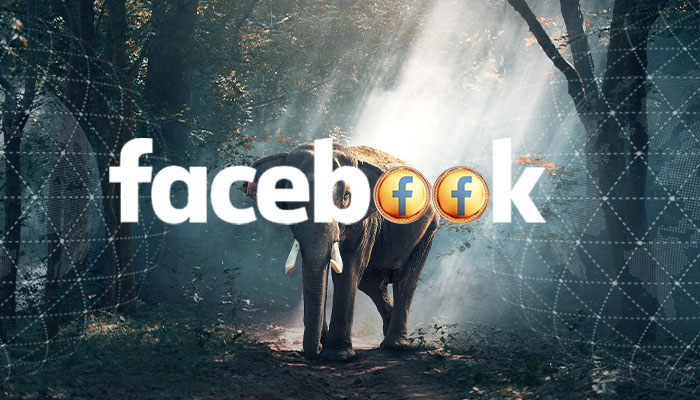 facebook雄心和障碍,facebook发展史上最大的危机