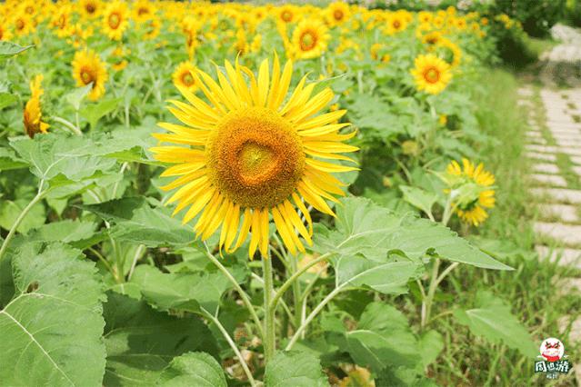 福州周边这15处神仙景点不容错过,收下长假福州市景点旅行攻略