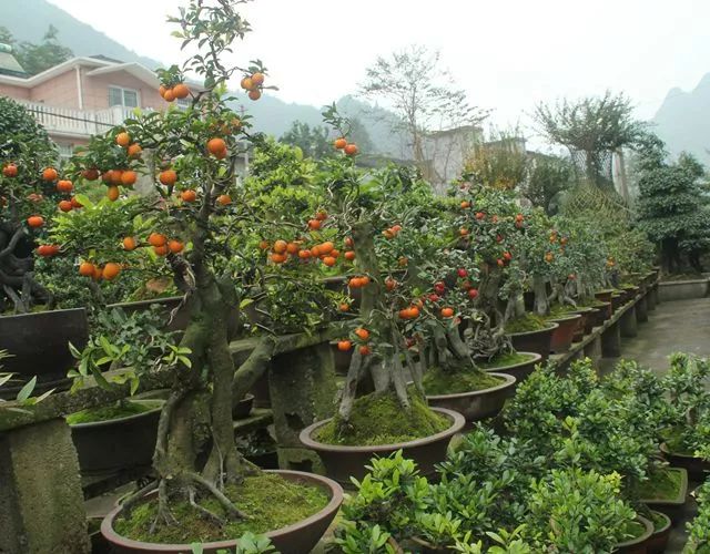 长阳是一个山清水秀的好地方,长阳很美的城