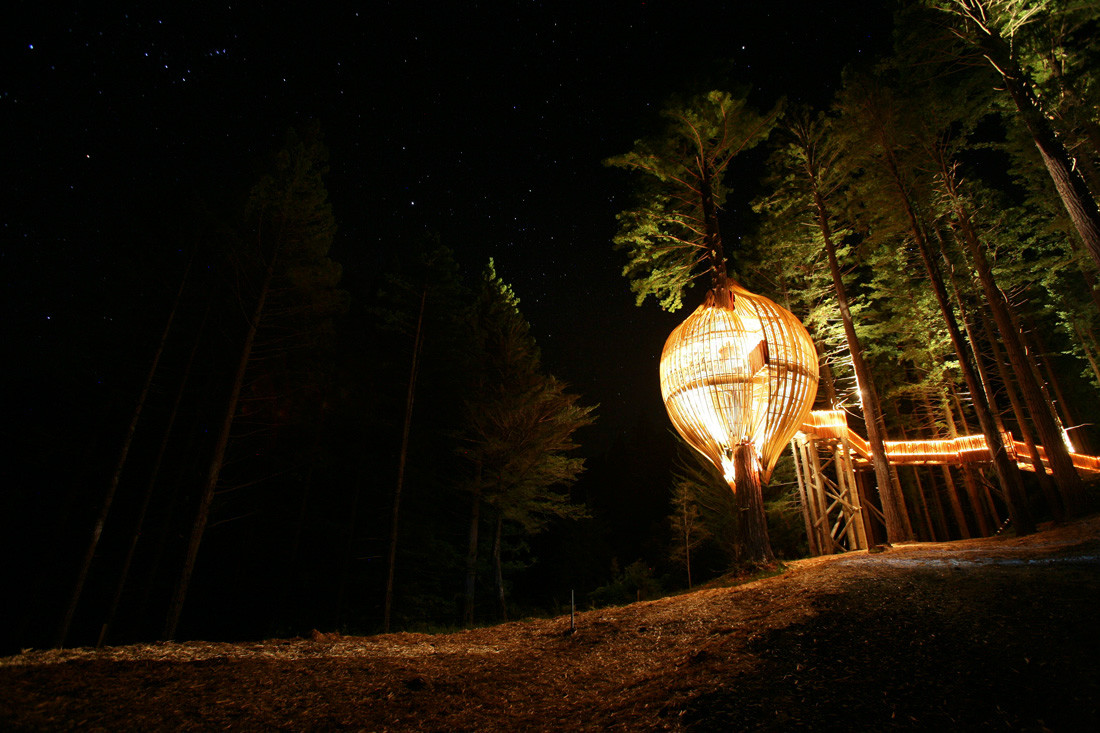 让这个红杉树上的餐厅来实现你儿时的树屋梦想