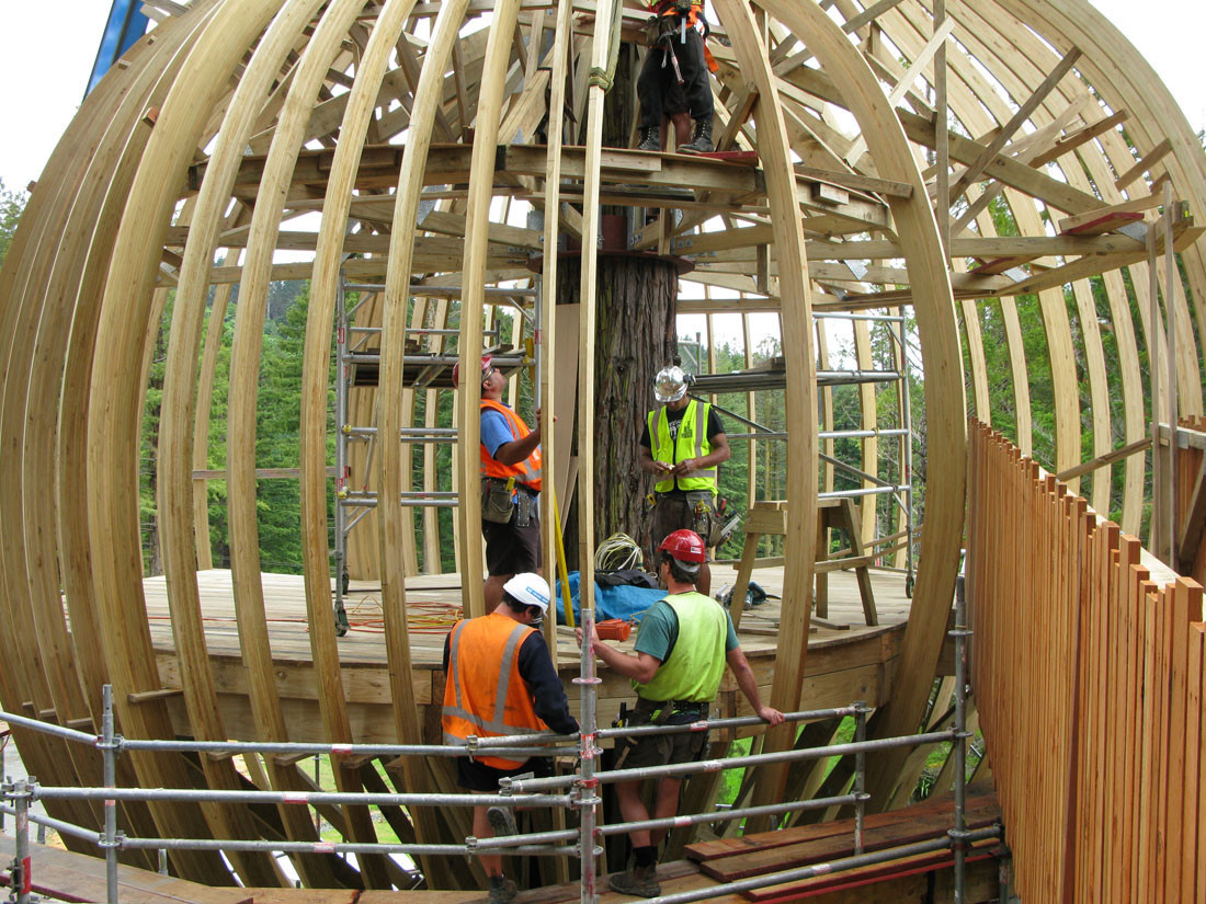 让这个红杉树上的餐厅来实现你儿时的树屋梦想