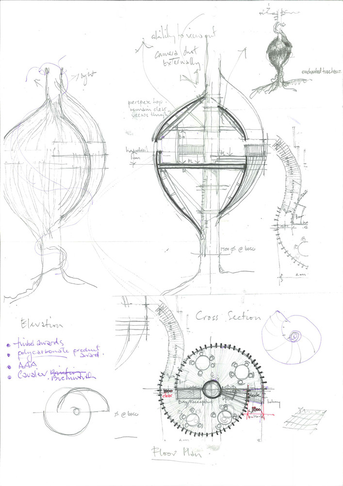 让这个红杉树上的餐厅来实现你儿时的树屋梦想