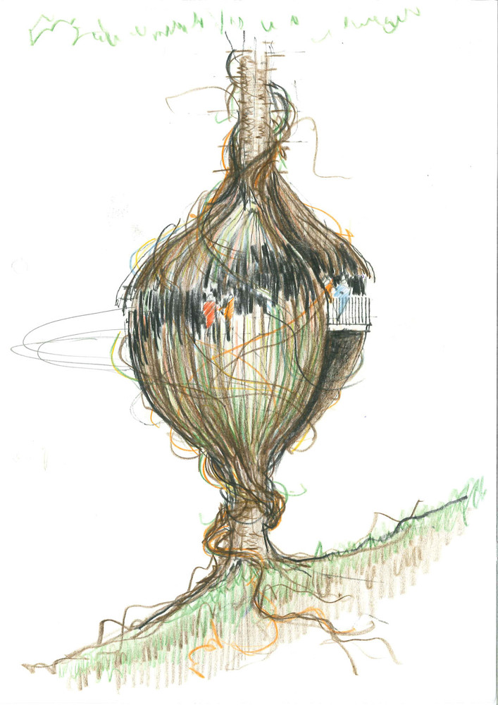 让这个红杉树上的餐厅来实现你儿时的树屋梦想