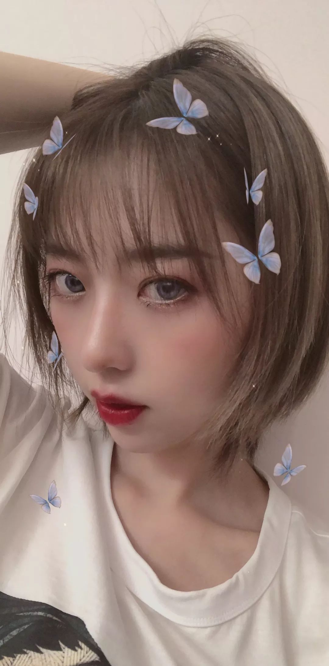 为什么我女朋友的照片头上都是蝴蝶？