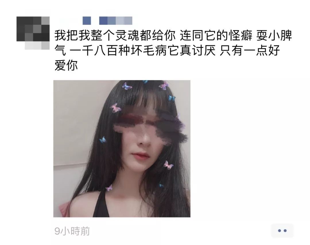 为什么我女朋友的照片头上都是蝴蝶？